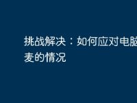 挑战解决:如何应对电脑没有麦的情况-路由网