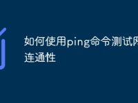 如何使用ping命令测试网络连通性-路由网