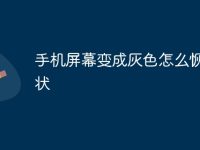 手机屏幕变成灰色怎么恢复原状-路由网