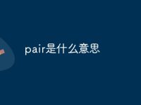 pair是什么意思-路由网