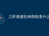 乙肝表面抗体阳性是什么意思-路由网
