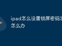 ipad怎么设置锁屏密码忘了怎么办-路由网