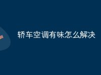 轿车空调有味怎么解决-路由网
