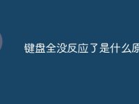 键盘全没反应了是什么原因-路由网
