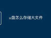 u盘怎么存储大文件-路由网