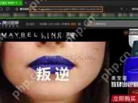 视频网站VIP电影怎么免费看 破解VIP电影的操作方法-路由网