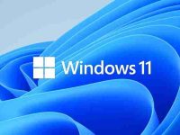 Windows 11提示硬件不兼容有办法绕过检测安装吗-路由网