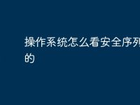 操作系统怎么看安全序列信息的-路由网