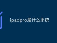 ipadpro是什么系统-路由网