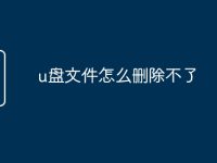 u盘文件怎么删除不了-路由网