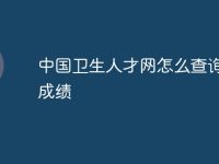 中国卫生人才网怎么查询往年成绩-路由网