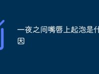 一夜之间嘴唇上起泡是什么原因-路由网