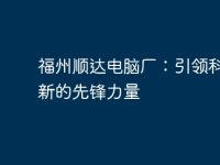 福州顺达电脑厂:引领科技创新的先锋力量-路由网