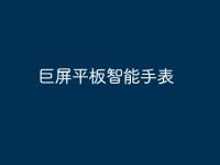 巨屏平板智能手表-路由网