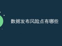 数据发布风险点有哪些-路由网