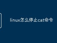 linux怎么停止cat命令-路由网