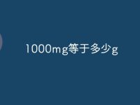 1000mg等于多少g-路由网