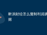 新浪财经怎么复制利润表数据-路由网