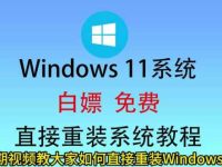 Win11真的会取代31年的NTFS吗？NTFS还能撑多久？-路由网