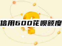 【花呗额度】芝麻信用600花呗额度有多少?要看其他5个因素-路由网