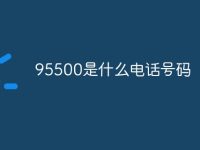 95500是什么电话号码-路由网