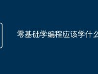 零基础学编程应该学什么语言-路由网
