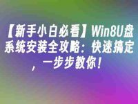 【新手小白必看】Win8U盘系统安装全攻略:快速搞定,一步步教你!-路由网