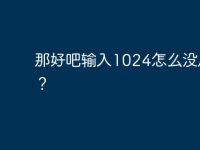 那好吧输入1024怎么没反应?-路由网