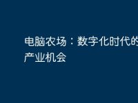 电脑农场:数字化时代的新兴产业机会-路由网