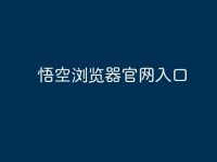 悟空浏览器官网入口-路由网