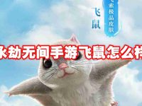 永劫无间手游飞鼠怎么样-路由网