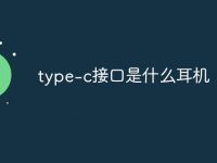 type-c接口是什么耳机-路由网