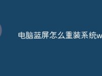 电脑蓝屏怎么重装系统win11-路由网