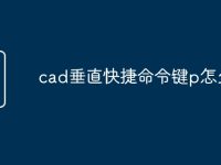 cad垂直快捷命令键p怎么用-路由网