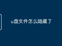 u盘文件怎么隐藏了-路由网