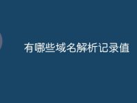 有哪些域名解析记录值-路由网