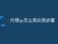 代理ip怎么用实用步骤-路由网