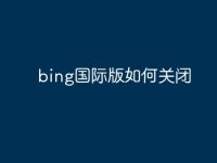 bing国际版如何关闭-路由网