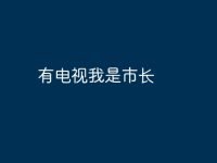 有电视我是市长-路由网