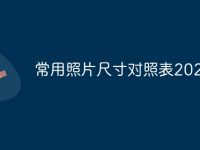 常用照片尺寸对照表2024年-路由网