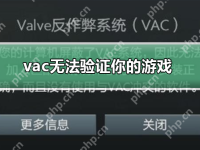 vac无法验证你的游戏_vac无法验证你的游戏解决方法-路由网