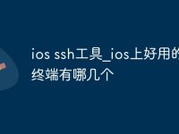 ios ssh工具_ios上好用的ssh终端有哪几个-路由网