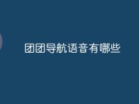 团团导航语音有哪些-路由网