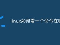 linux如何看一个命令在哪里-路由网