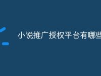 小说推广授权平台有哪些-路由网