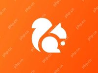 UC缓存视频导出后无法打开-路由网