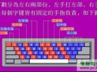 电脑键盘指法的正确练习步骤-路由网