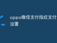 oppo微信支付指纹支付怎么设置-路由网