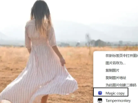 免费看影片的浏览器2025汇总-路由网