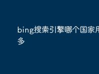 bing搜索引擎哪个国家用的多-路由网